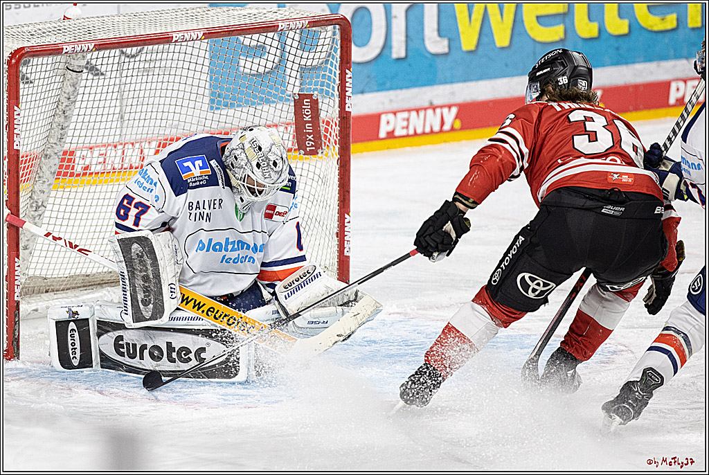 PENNY DEL;  Koelner Haie - Iserlohn Roosters; Koeln, 24.01.2023